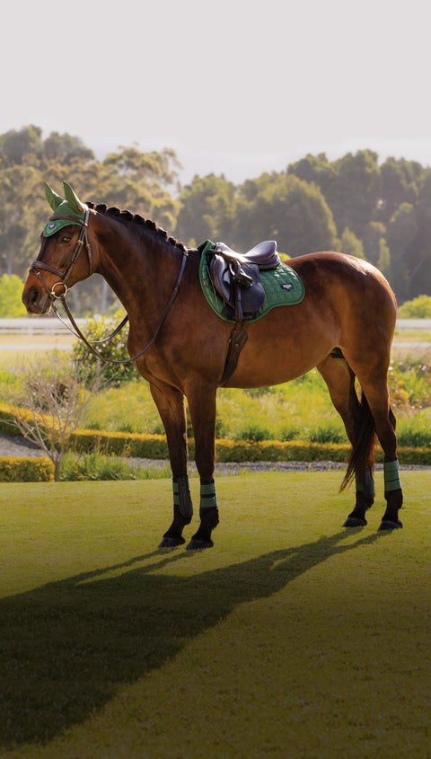 brown horse in lemieux tack with green ear bonnet & saddle pad standing in a field