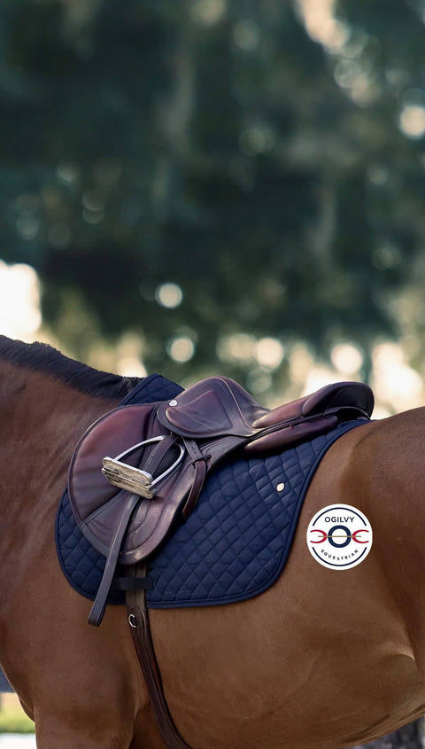 Saddle on a horse with a blurred natural background and ogilvy logo