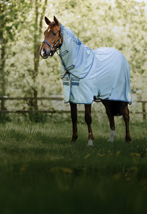Chestnut horse in turnout wearing light blue Horseware Ireland Fly Sheet with neck