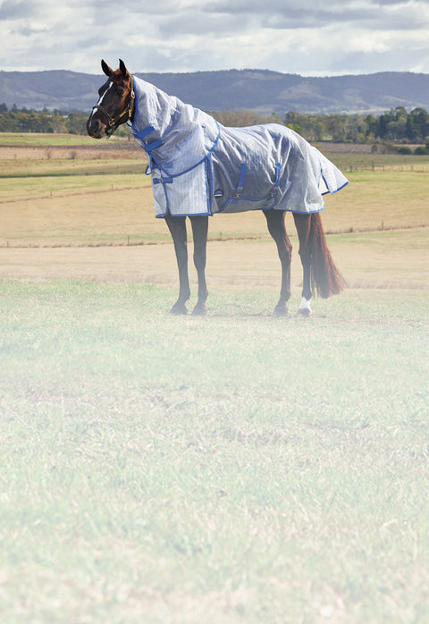 Liver Chestnut horse in turnout wearing white and cobalt blue Weatherbeeta fly sheet with neck