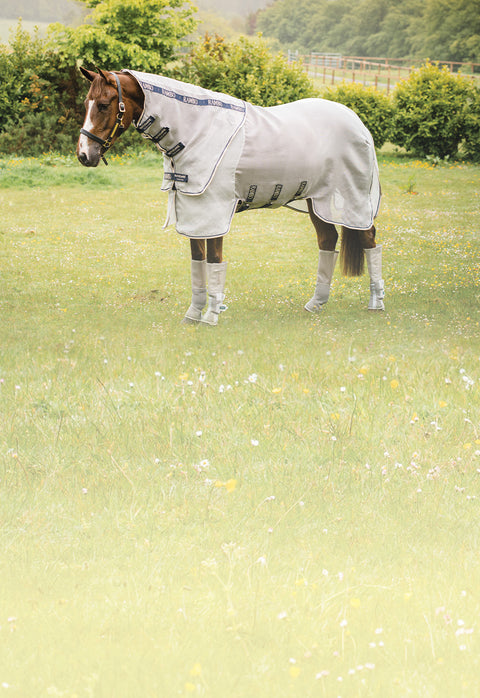 Chestnut horse in turnout wearing pale silver Rambo fly sheet with neck and Rambo fly boots