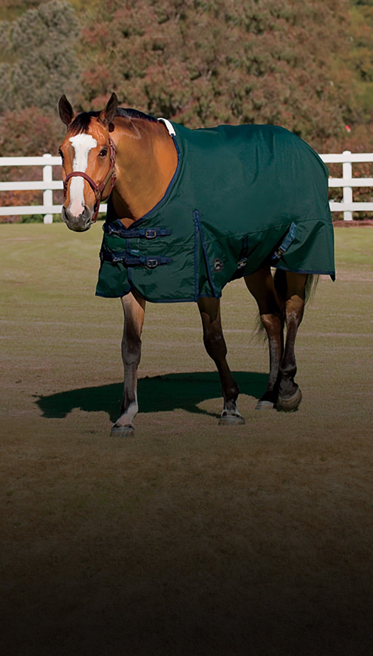 Dover Saddlery English Tack & Riding Apparel