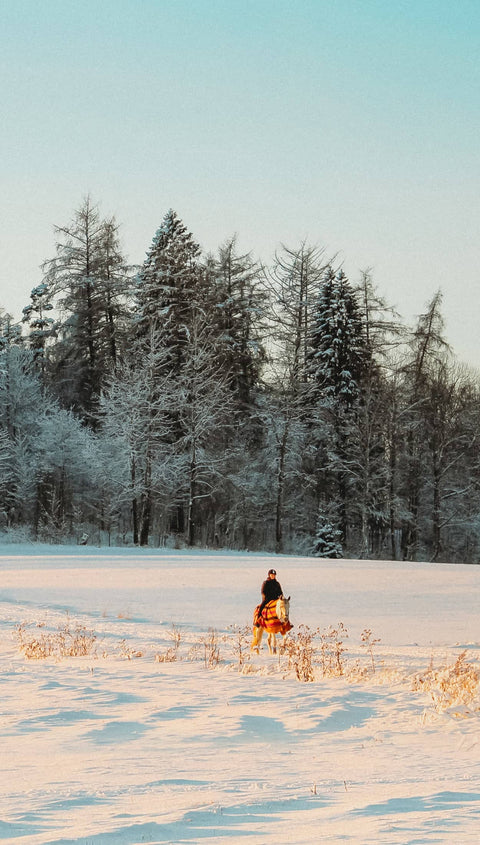 Person on a horse in a snowy landscape with trees