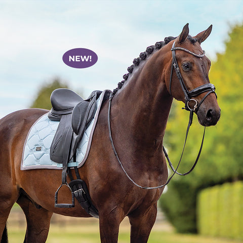 A horse in dressage tack and a light blue saddle pad, which has dark grey trim and light grey piping, is standing against a simple background of sky and trees.