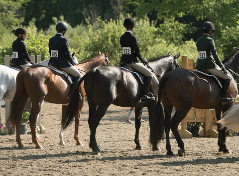 Equitation riders lined up in flat class waiting to see how the class is pinned