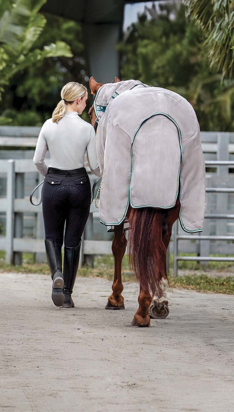 Darkened point of view image of girl dressed in schooling dressage apparel leading her chestnut horse in fly gear.