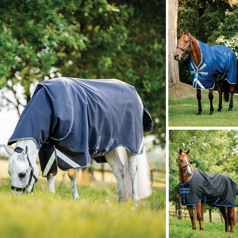Three horses wearing blue Horseware blankets