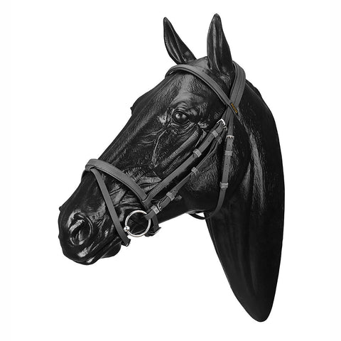 Wintec Bridle