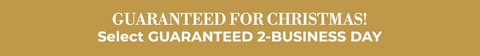 Promotional text 'GUARANTEED FOR CHRISTMAS! Select GUARANTEED 2-BUSINESS DAY' on a gold background